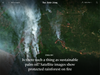 Is there such a thing as sustainable palm oil? Satellite images show protected rainforest on fire