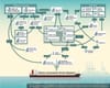 Ownership of Chemicals that Exploded at Beirut Port Traces Back to Ukraine