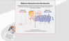 2020 Election Forecast
