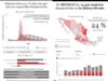 Missing women in Mexico