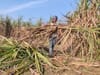 Farming and Its crisis