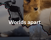 Worlds Apart