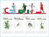 Find out all the data on the teams for the Qatar 2022 World Cup