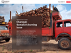 Charcoal: Somalia’s burning issue