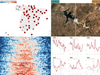 Hottest summer in Spain: tracking heatwaves, fires, mortality and drought