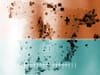 How the probability of giving birth with a C-section in Spain depends on the hospital a woman goes to