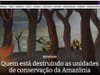 Quem está destruindo as unidades de conservação da Amazônia