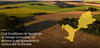 15 million of hectares of forest devastated: this is how the agrobusiness destroys the Parana Basin
