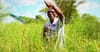 Grass Farming Plants Resilience in Rural Kenya